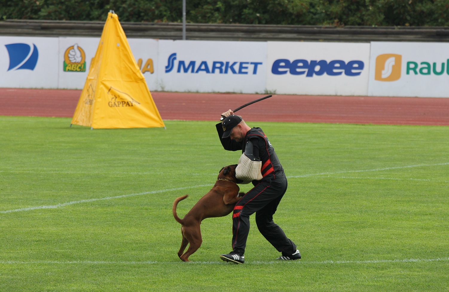 ares
