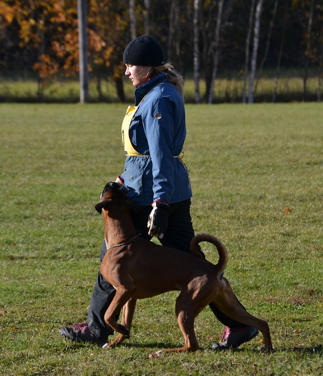 ares