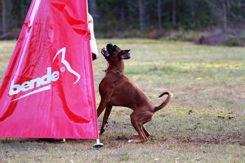ares