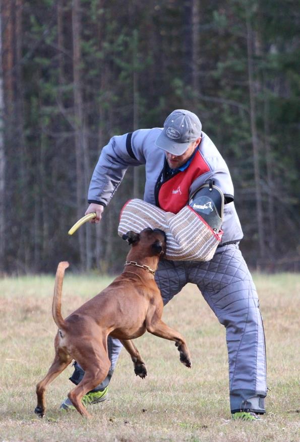 ares