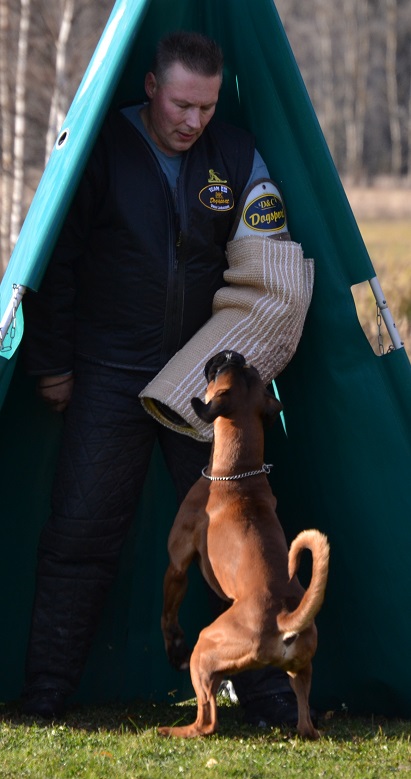 ares