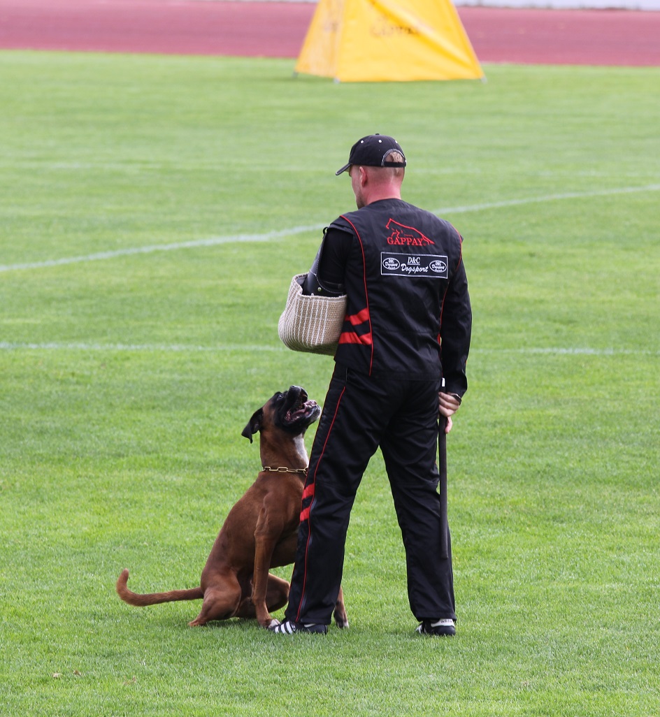 ares