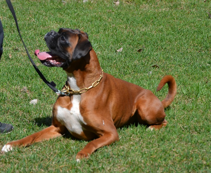 ares