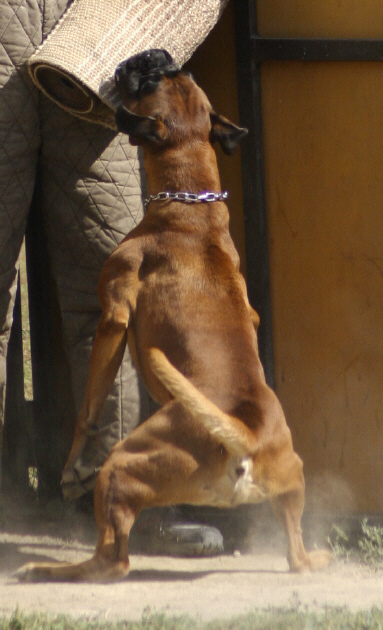 piilolla