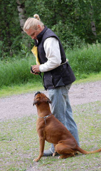 toivo